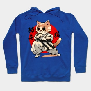 Kung fu kitty Hoodie